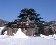 牡丹江明天天气